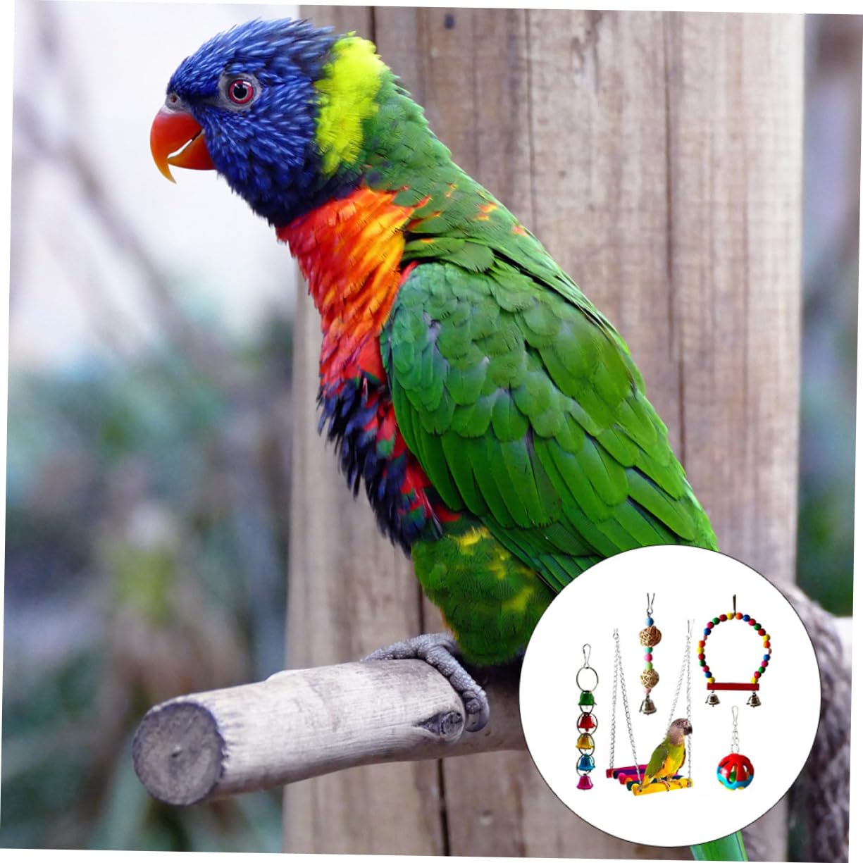 BESPORTBLE 5pièces Jouets à Mâcher pour Oiseaux Jouets Amusants pour Perroquets Et Oiseaux De Compagnie Accessoires De pour Divertissement