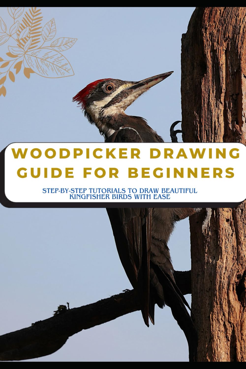 Woodpecker Drawing Guide for Beginners: Step-by-Step Tutorials to Draw Beautiful Woodpecker Birds with Ease