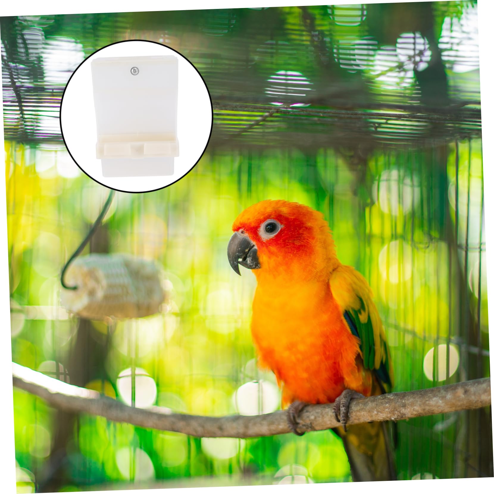Mangeoire Automatique pour Perroquets 3 Pièces Facile À Ouvrir pour Animaux De Compagnie pour Pigeons Boîte À Nourriture pour Oiseaux