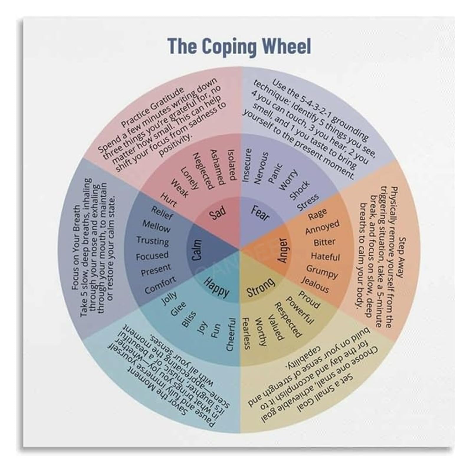 IDGTTLDF Coping Wheel Guide Poster Problem Focused Emotion Focused Coping Comparison School Social Worker Wall Decor