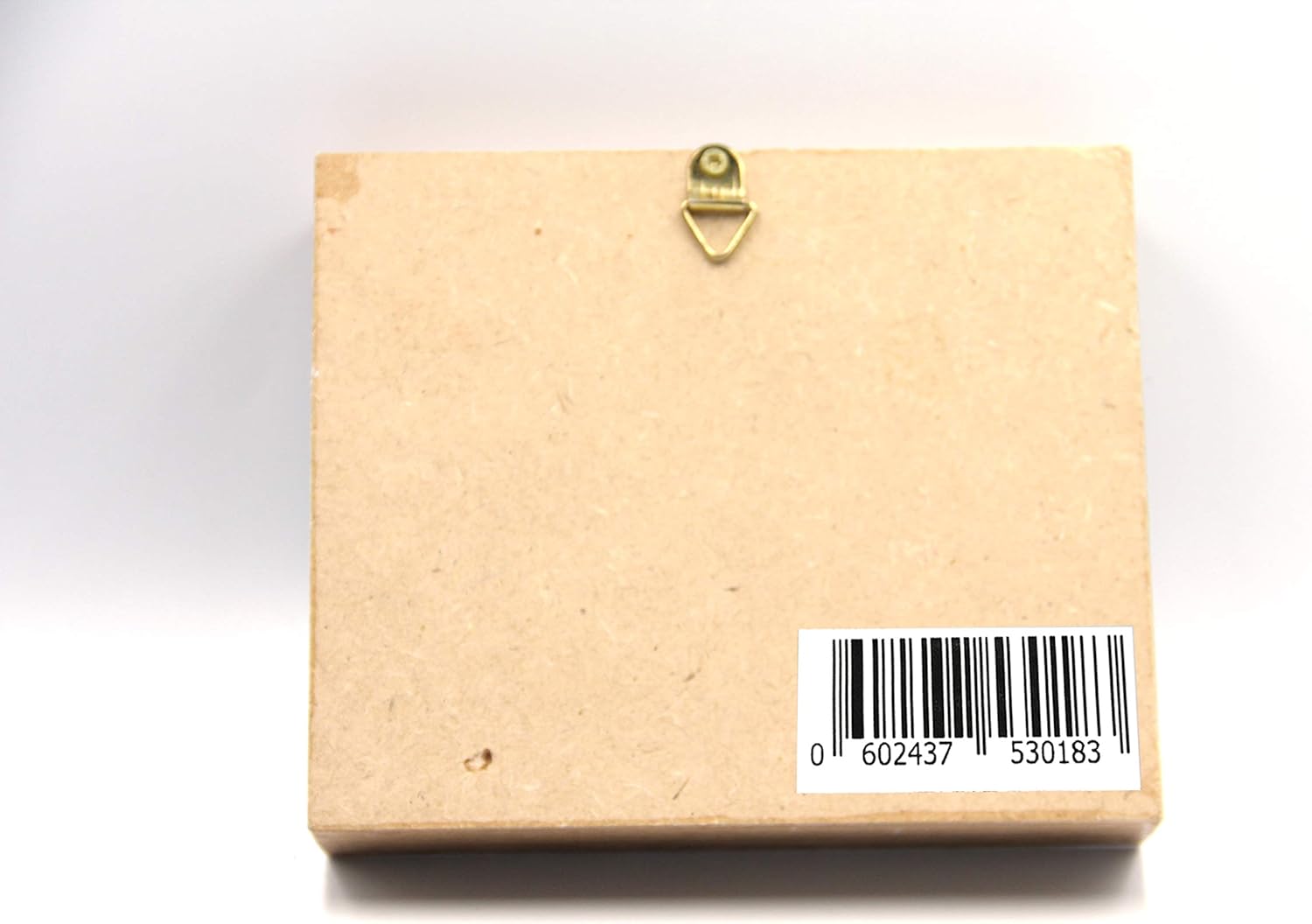 Real Giant Tarantula EURYPEIMA SPINCRUS Spider Taxidermy Boxed Display