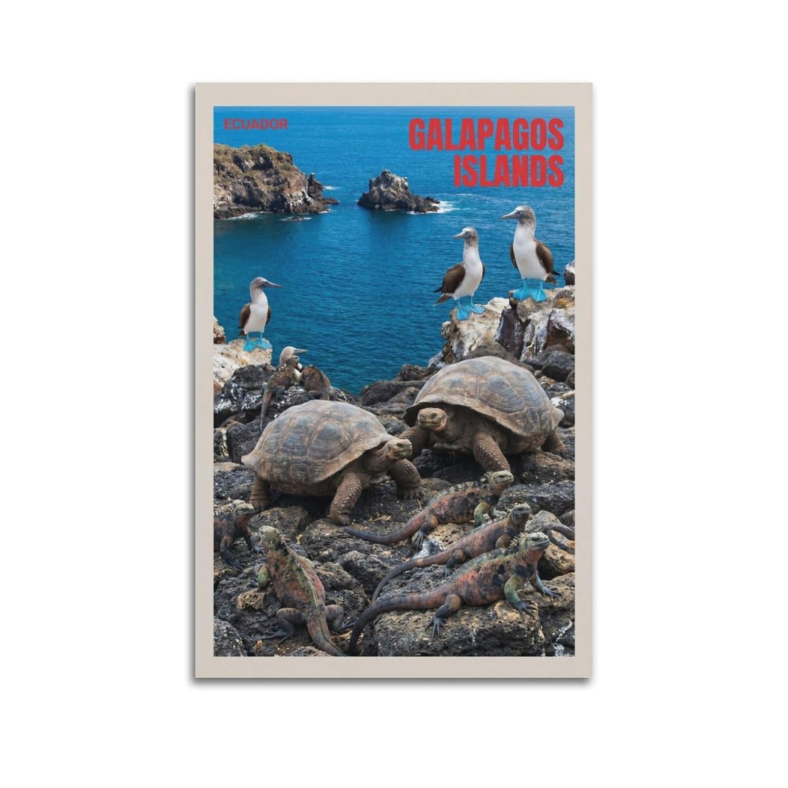 OKAHYS Travel Scenery Galápagos Islands Poster Modern Decorative Canvas Prints - Ideal Wall Art for Family, Man Cave, Game Room, Boys & Girls Bedroom 20x30inch(50x75cm)