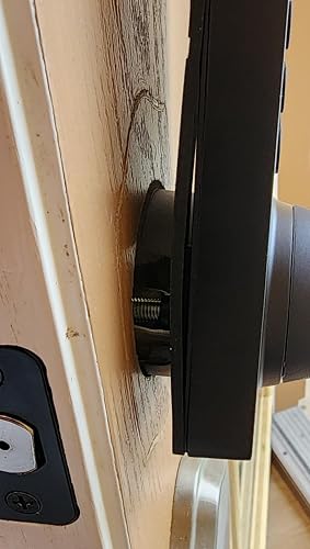 Review Image by LP