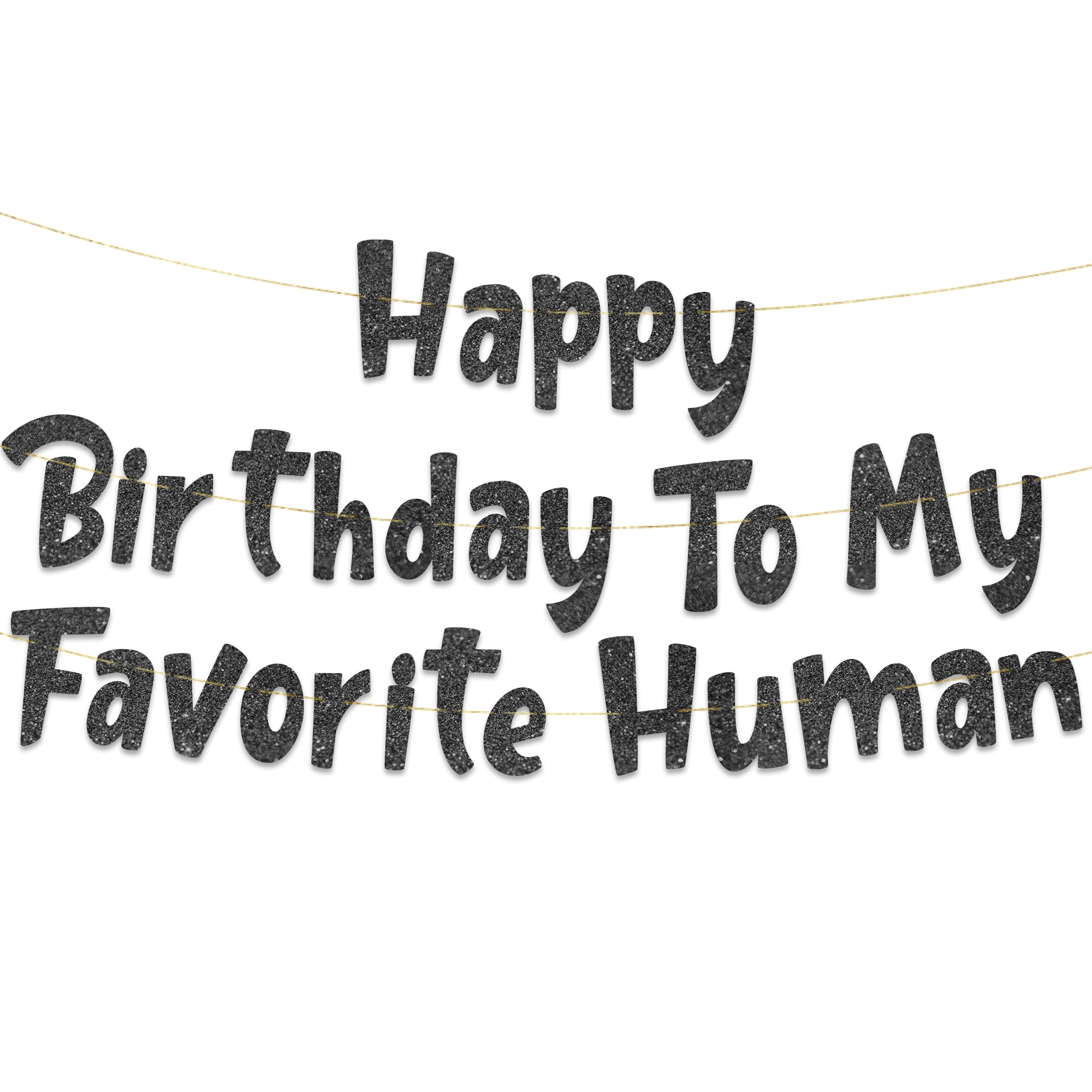 Pre-Strung Happy Birthday To My Favorite Human - Funny Birthday Black Glitter Banner - Funny Birthday Decorations for Men and Women - Party Supplies and Gifts