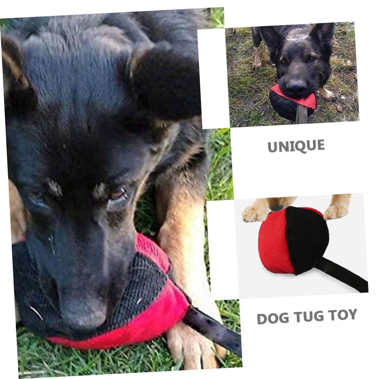 Sosoport 3pezzi Giocattolo Interattivo Per Cani Gioco Da Masticare Per Cuccioli All Aperto Resistente e Indistruttibile Stimola Istinto Naturale Di Per Allenamento e Divertimento