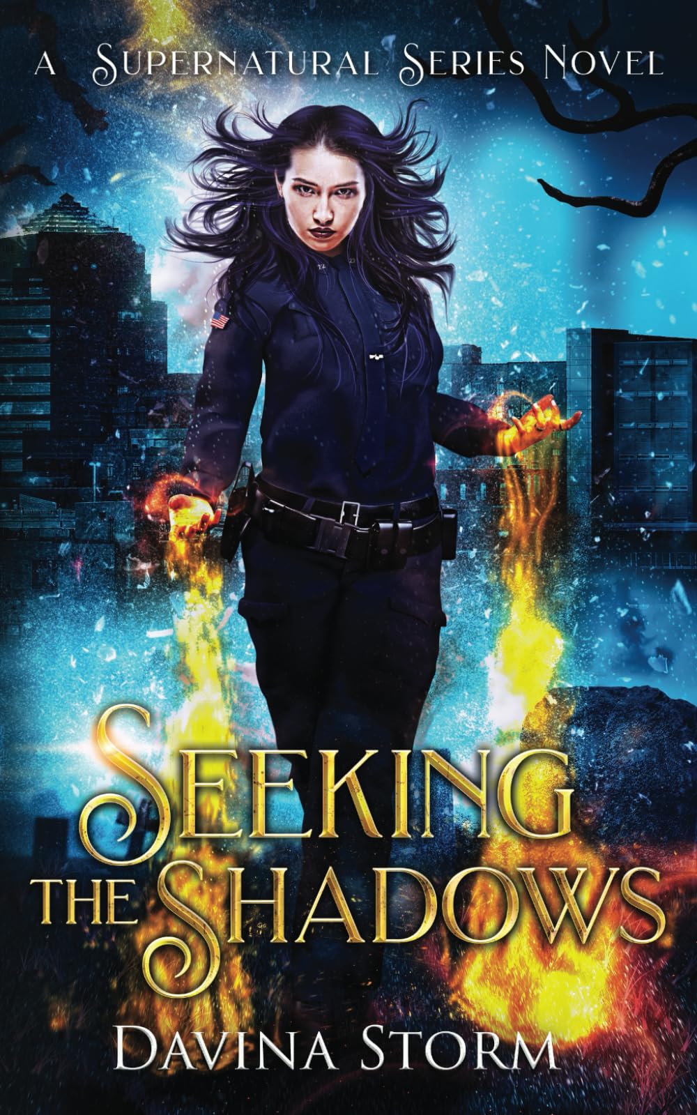 Seeking The Shadows (Supernatural Investigators)