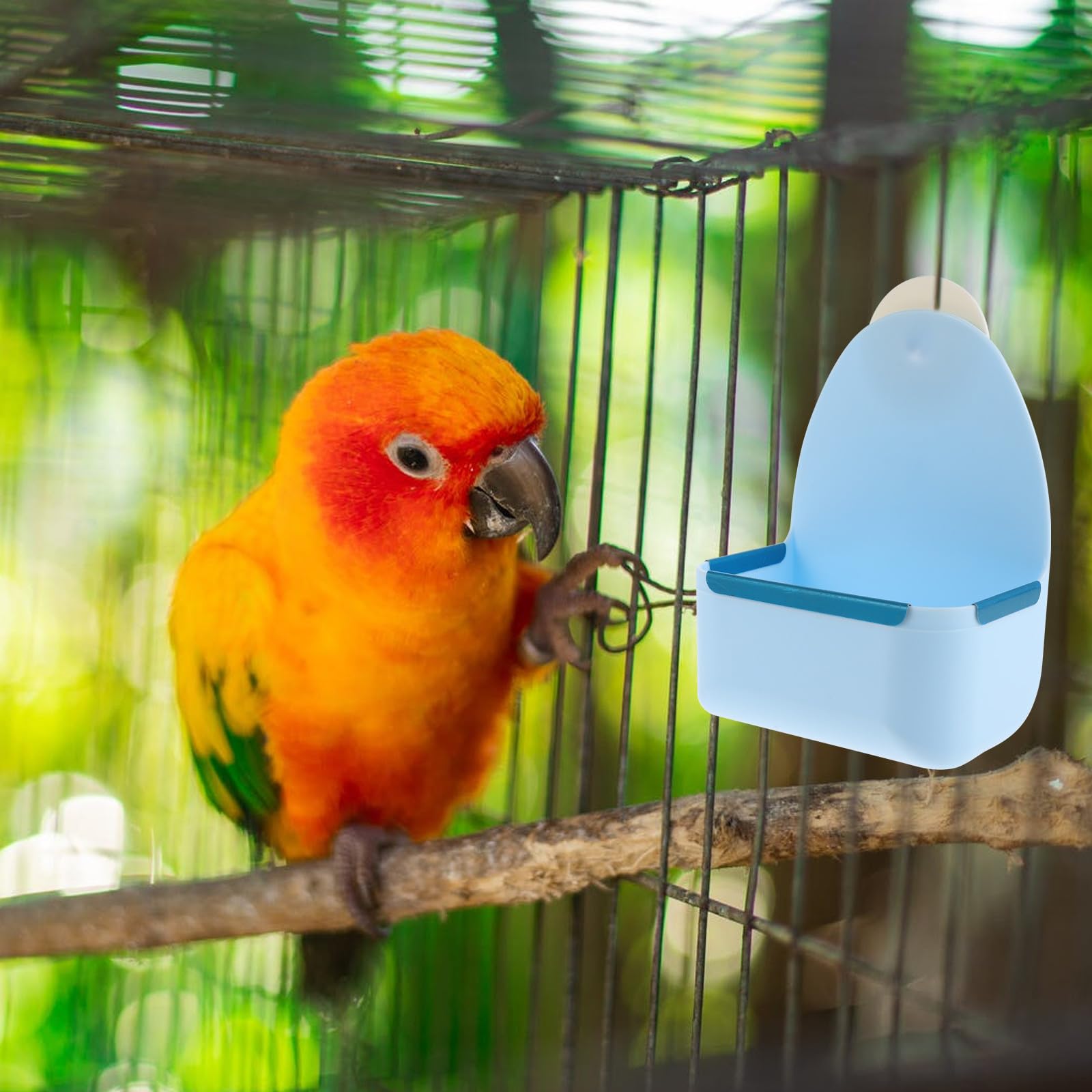 Ciieeo Gamelle Suspendue pour Petits Animaux Bol Alimentaire Anti-Renversement en Plastique Bleu Compatible Lapins Cochons D’Inde et Hamsters Distributeur Nourriture Sécurisé pour