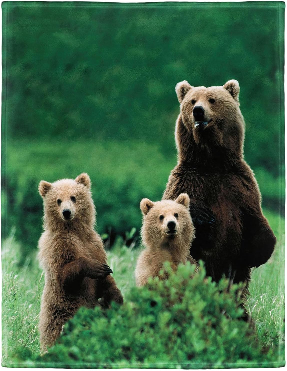 Soft Cozy Fleece Throw Blanket for Couch, Brown Bears, 50X60 Inches