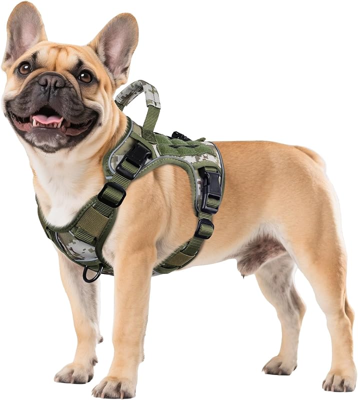 Peitoral Vest Tático WINGOIN para Cães Pequenos com Nylon 1000D e Faixa Refletiva DV01