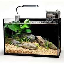 Desktop Glass Fish Tank, 2.8 Gallon Small Betta Fish Tank Starter Kit with LED Light, Efficient Filter and Non-Slip Base, Black Nano Aquarium for Small Space Home Decor