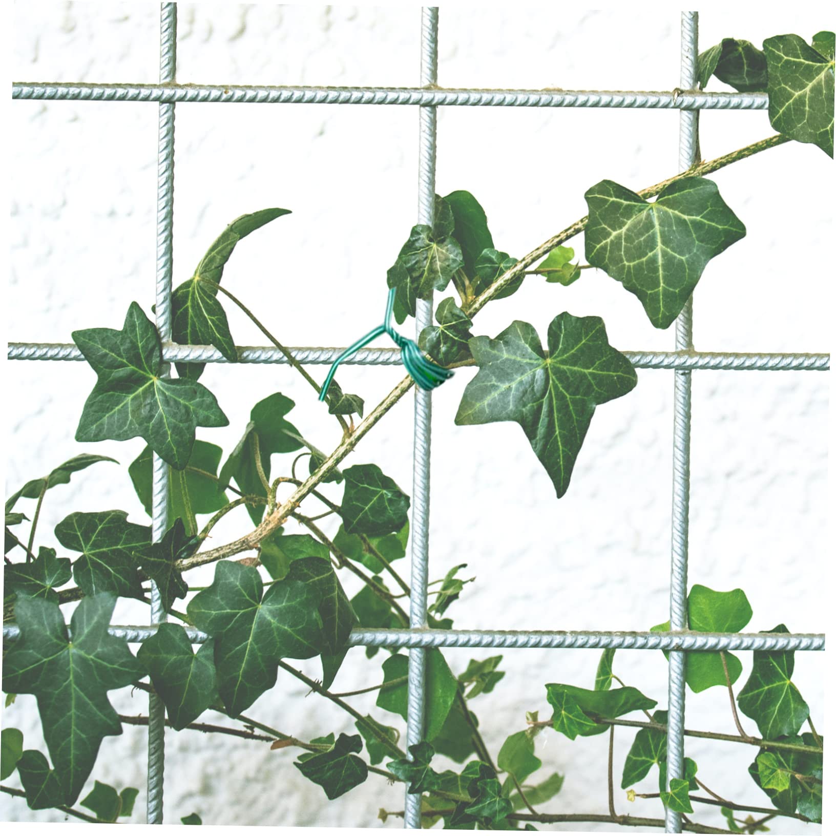 DOITOOL 2pcs Garden Plant Ties Garden Ties Garden Tie Wire Bonsai Growing Tie Cable Tie Elastic Band Roller