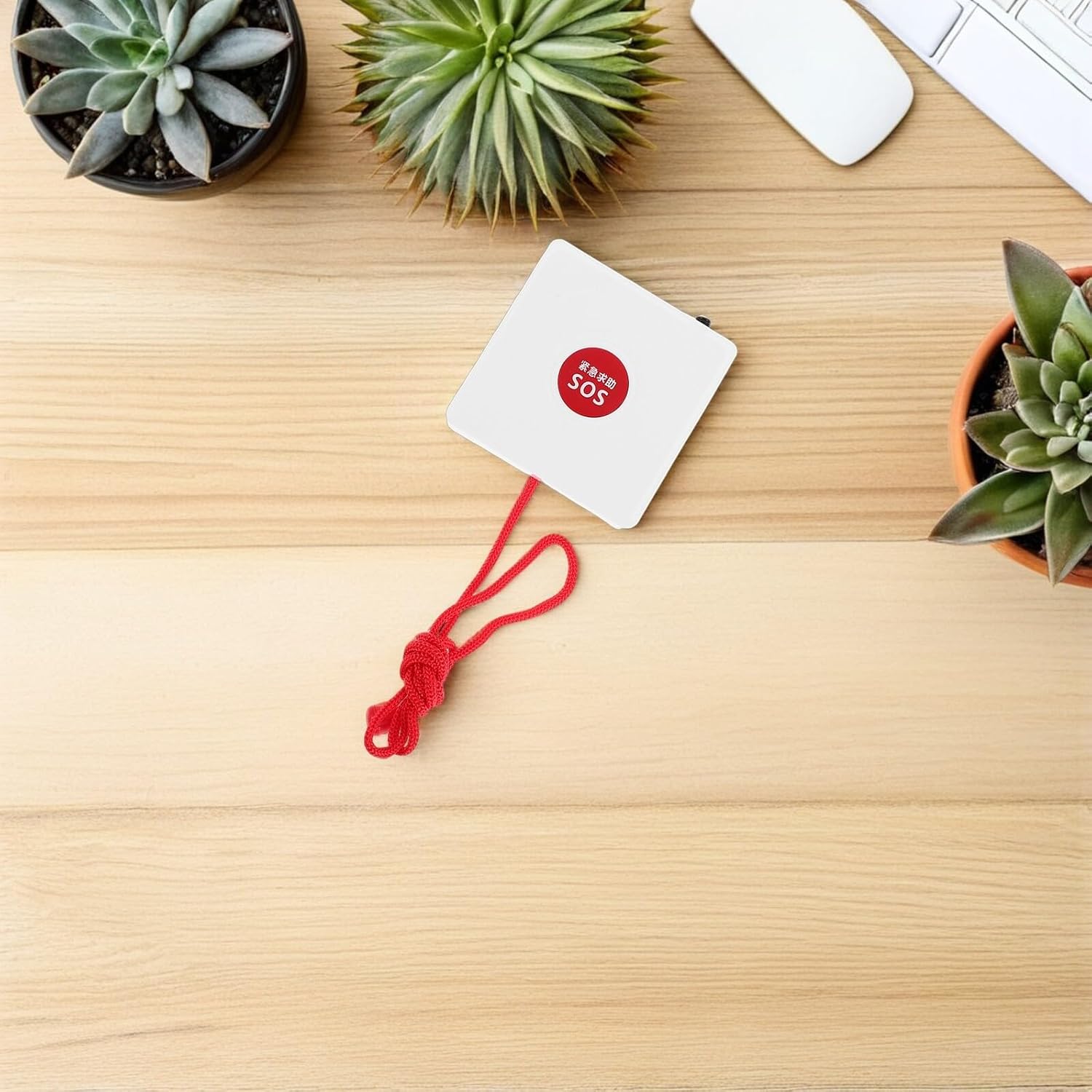 Wireless Emergency Alert Button with Rope, Wall Mounted for Seniors