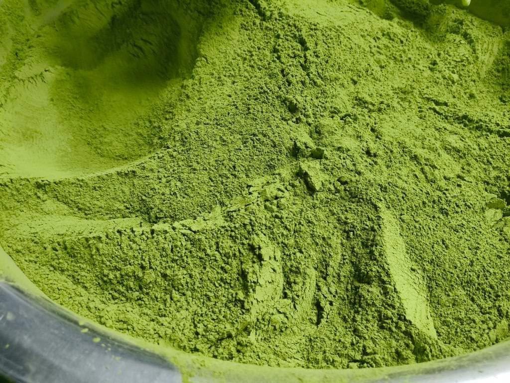 1KG of Wolffia Freeze Dried Powder, Globosa Super Food, Vegan | Product of Thailand