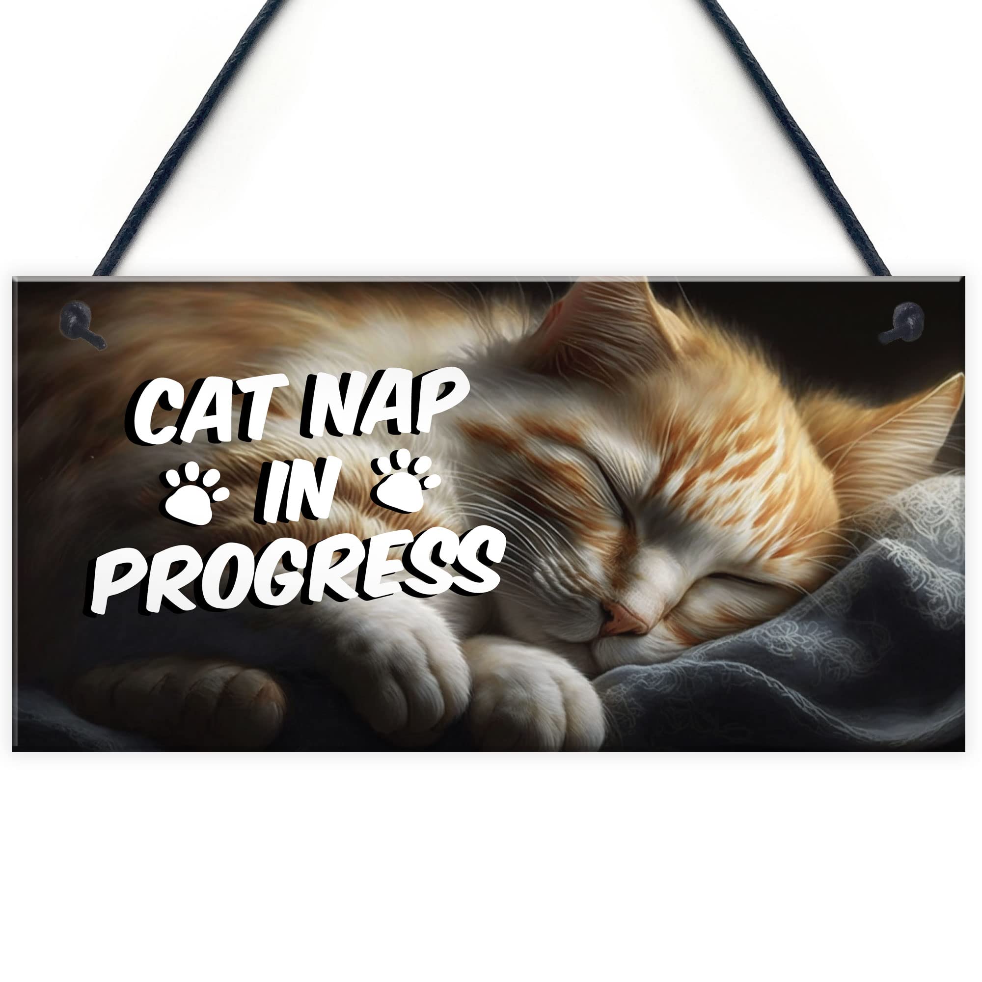 Red Ocean Novelty Cat Signs For Home CAT NAP IN PROGRESS Funny Cat Signs For Cat Lovers Cat Gifts Cat House Sign Friendship Gifts For Men Women