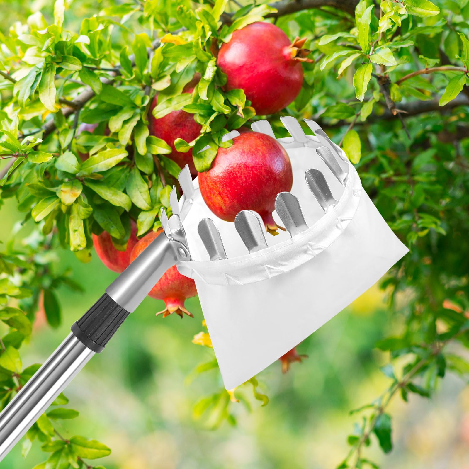 GOSHIES Cueille Fruit Télescopique 4M Cueille Fruit Cueilleur de Fruits Amovible Cueille Cerise Telescopique Ramasse Pomme pour la Cueillette des Oranges, Pêches, Cerises