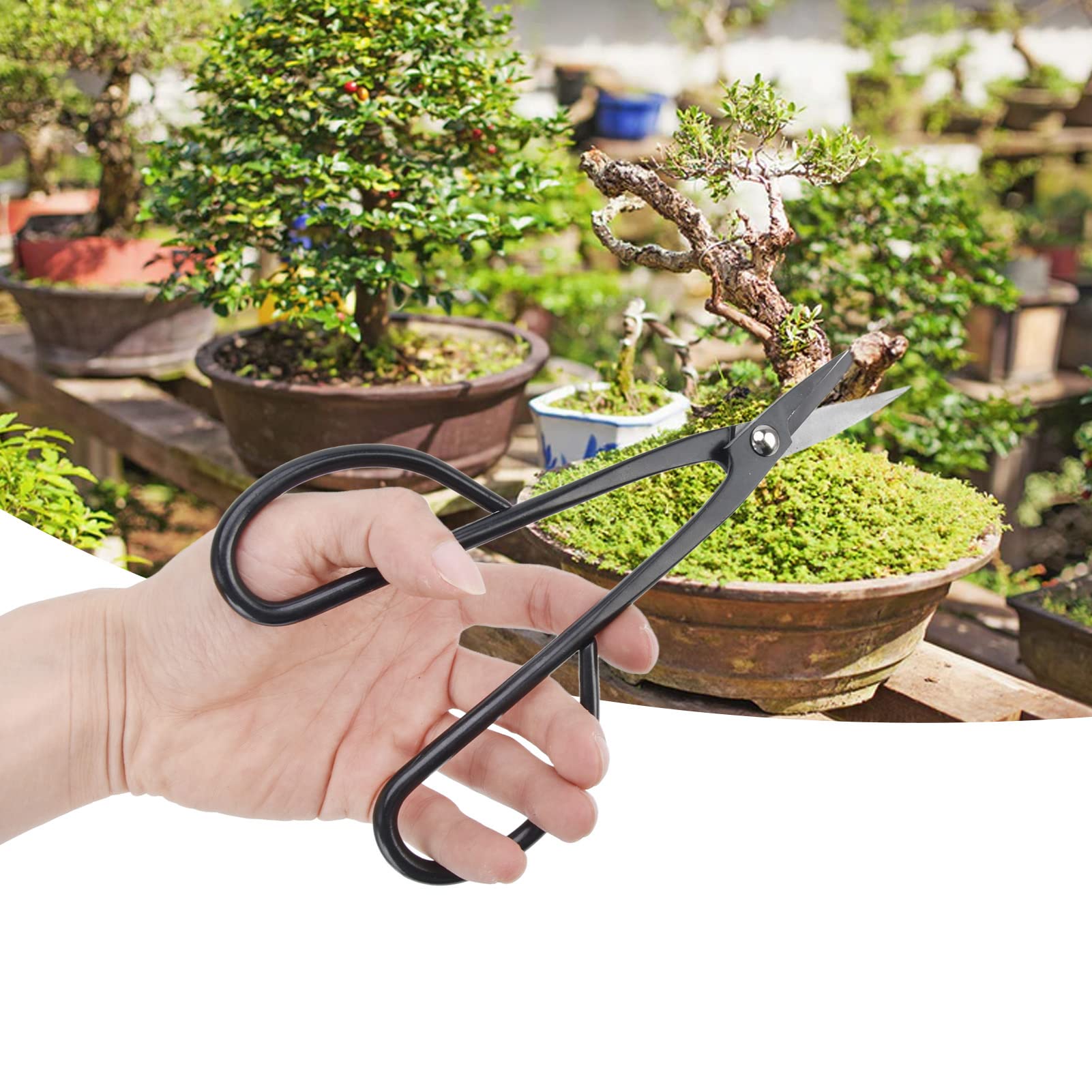 Tronchese Bonsai In Acciaio Manganese 210mm - Forbici Per Potatura E Taglio Filo Bonsai - Foto 13