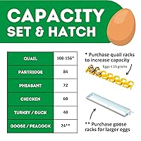 Vista 4 de Incubadora de Huevos Hatching Time con Giro Automático de Huevos y Control de Humedad Incubadora Digital para Aves de Corral con Capacidad para 60
