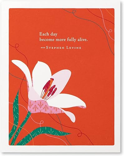 Miniatura 3 de Compendium Positively Green - Paquete de 4 tarjetas de cumpleaños Naturaleza (cuatro diseños diferentes, una tarjeta cada uno, con sobres)