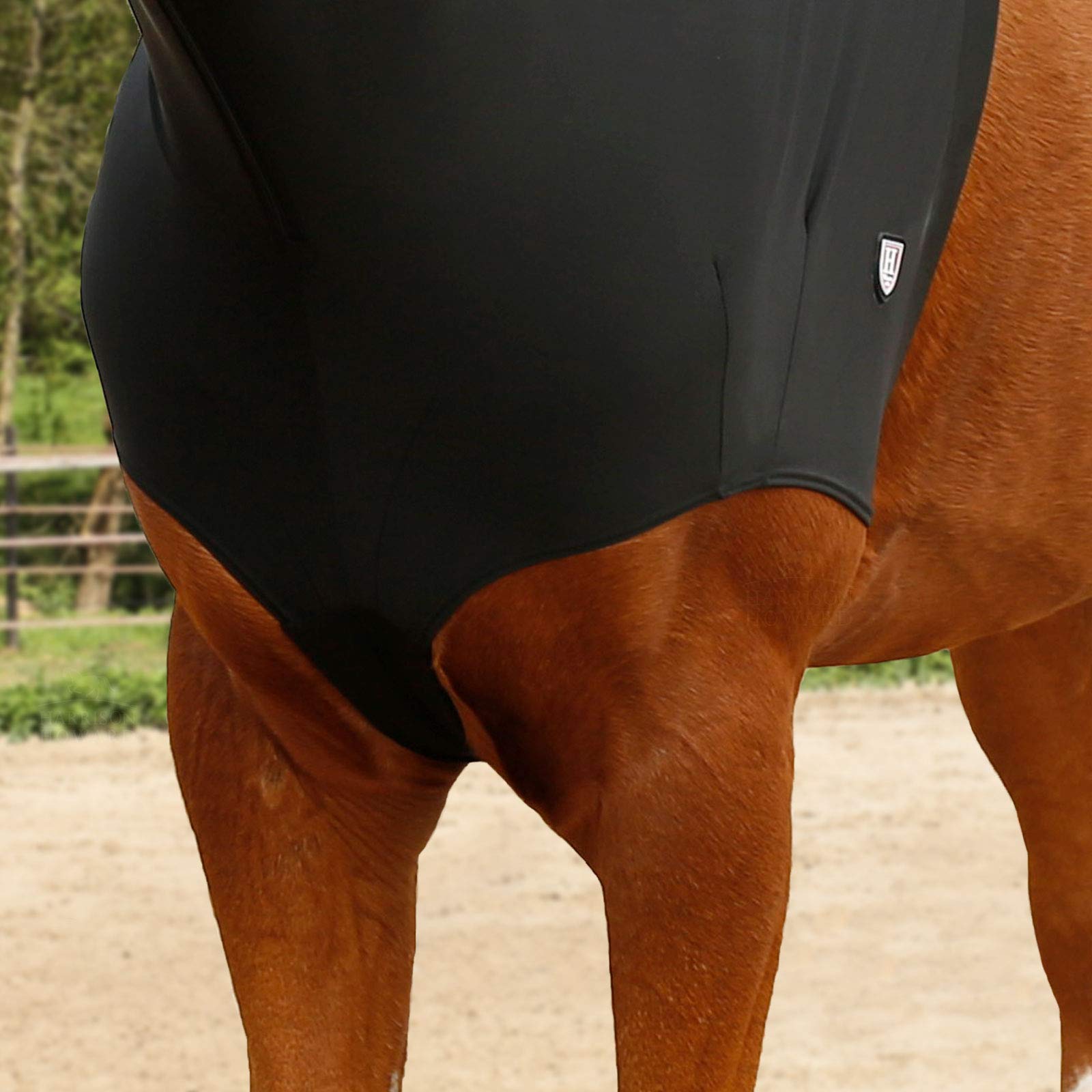 Harrison Howard Capucha elástica para caballo con cremallera, color negro, talla M