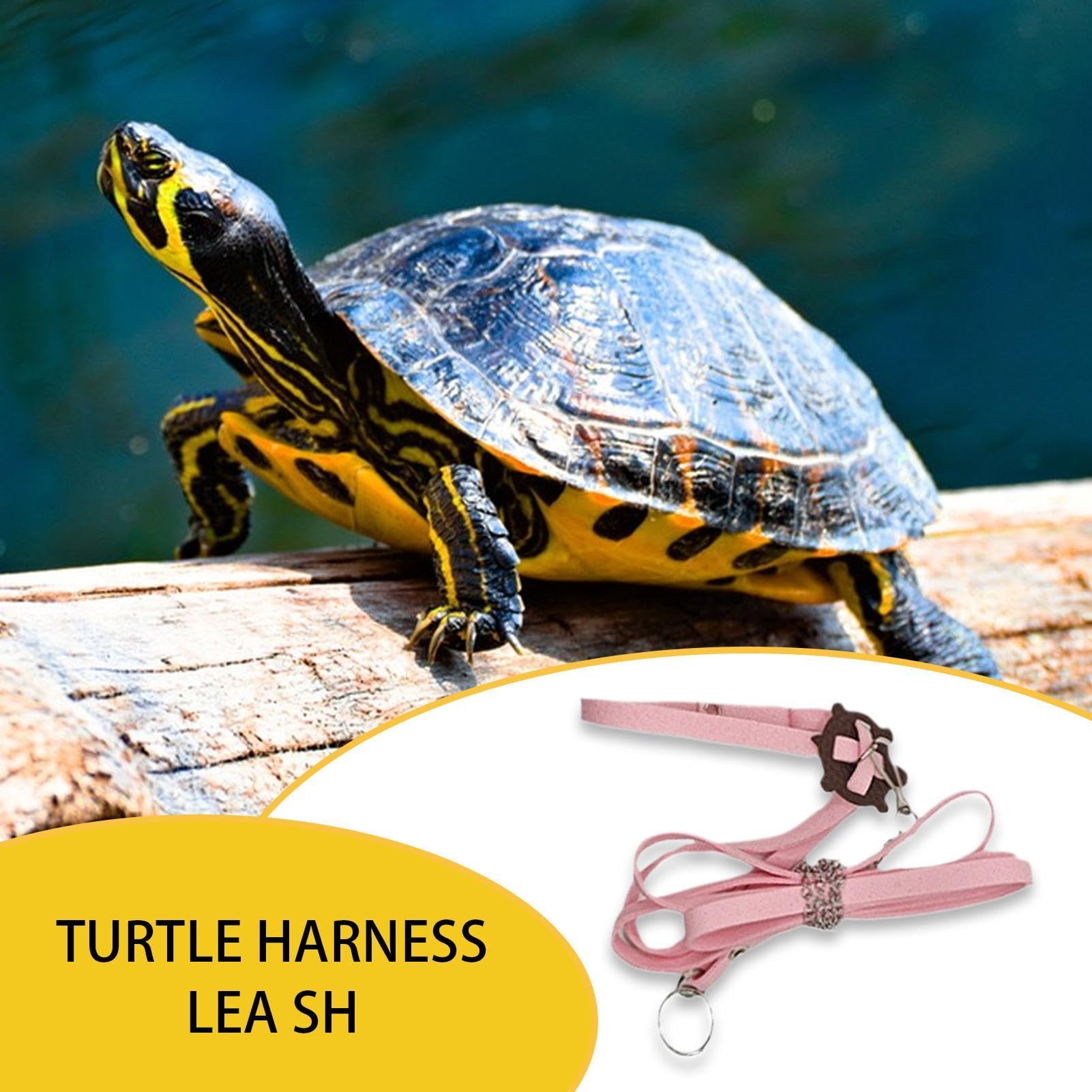 Laisses de Coffre de Tortue, Harnais d'extérieur en Cuir PU - Collier de Poitrine Souple