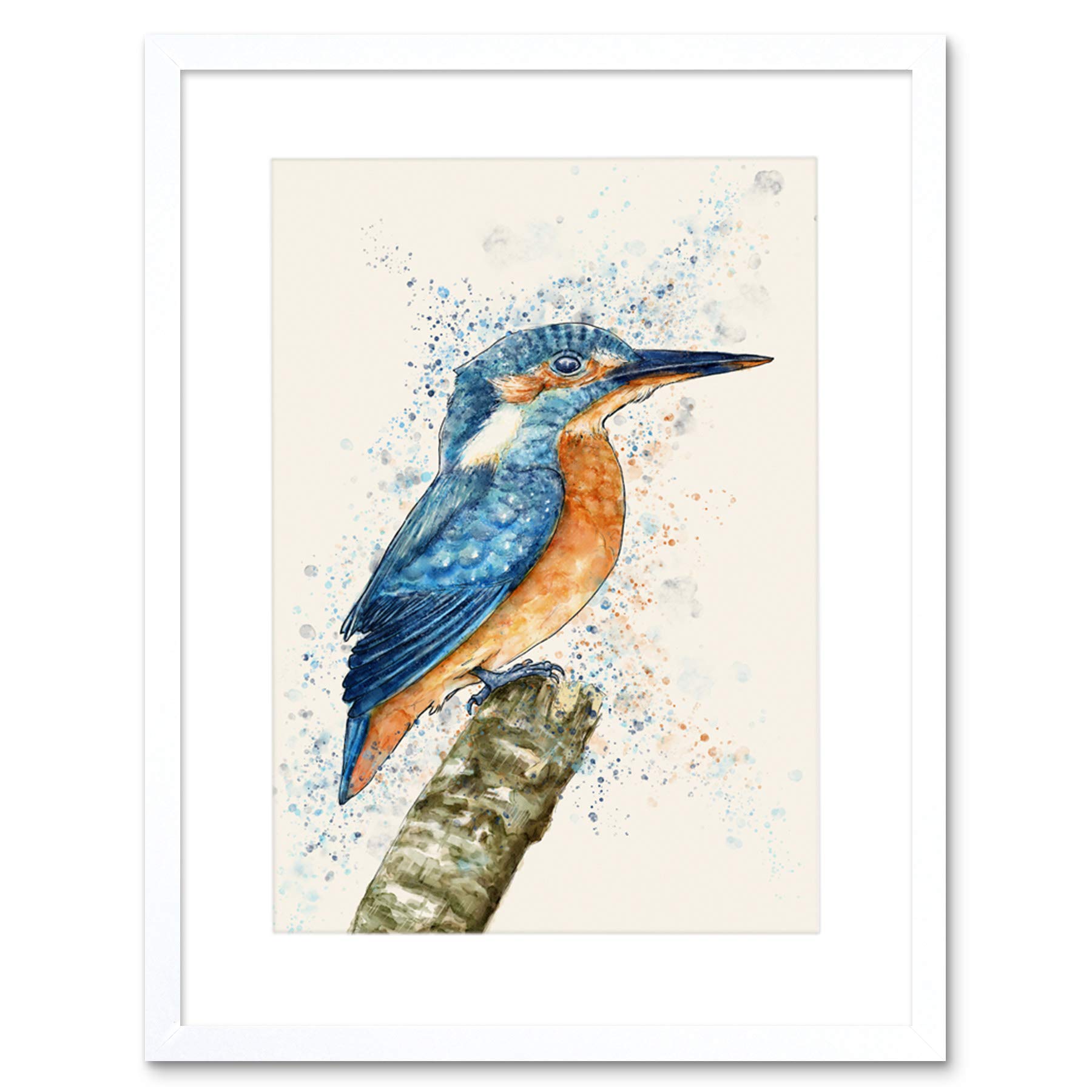 Wee Blue Coo Kingfisher Watercolour Framed Wall Art Print