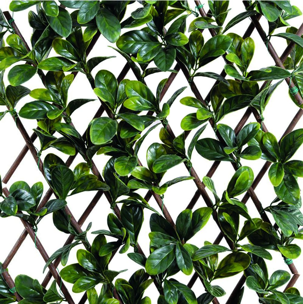 VERDELOOK | Traliccio Estensibile Sempreverde Foglie Lauro 1x2 m con Supporto in Salice Naturale, Siepe Artificiale in PE Stabilizzata UV per Giardino e Recinzioni