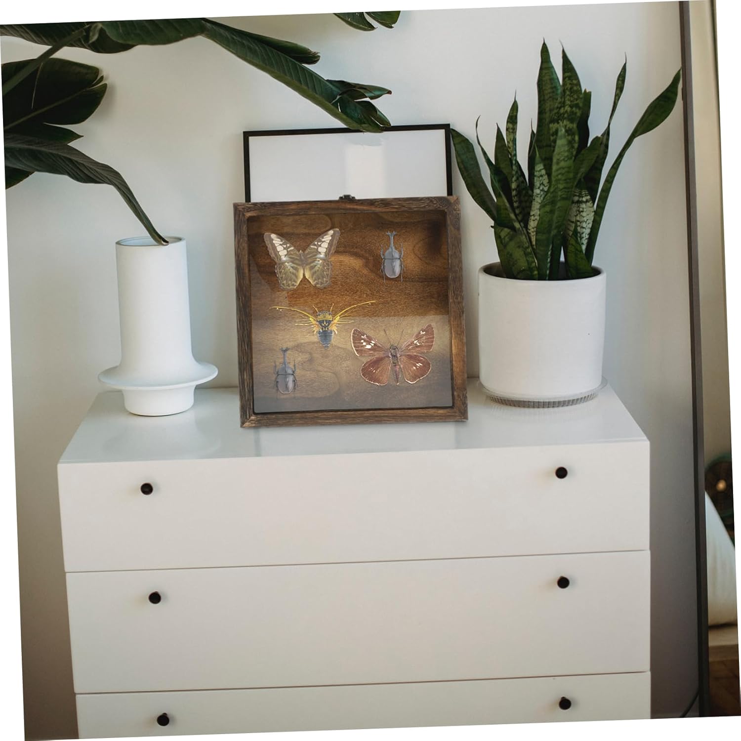 Unomor Butterflies Display Case Specimen Container Specimen Collection Box Indoor Style