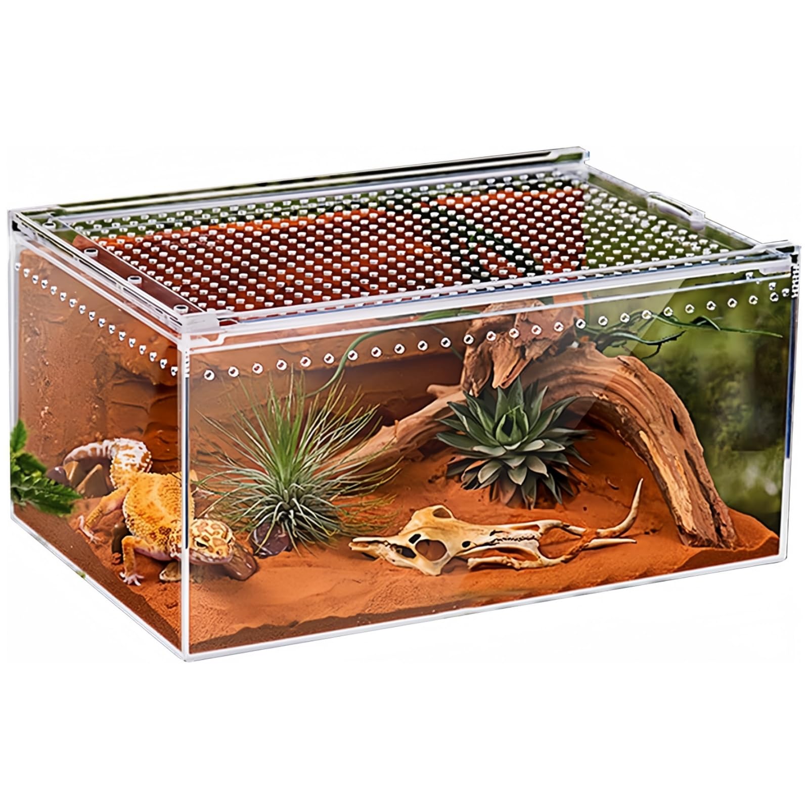 Reptilien Terrarium Box Magnetisches Acryl heimchenbox Terrarium stapelbares Reptil Fütterungsbox für Spinnen Skorpion Käfer Gehörnter Frosch
