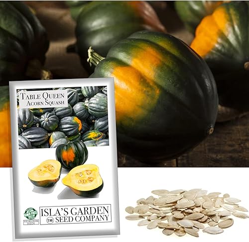 Table Queen - Semillas de calabaza de invierno de bellota para plantar, más de 30 semillas de reliquia por paquete, semillas de jardín de (Isla's