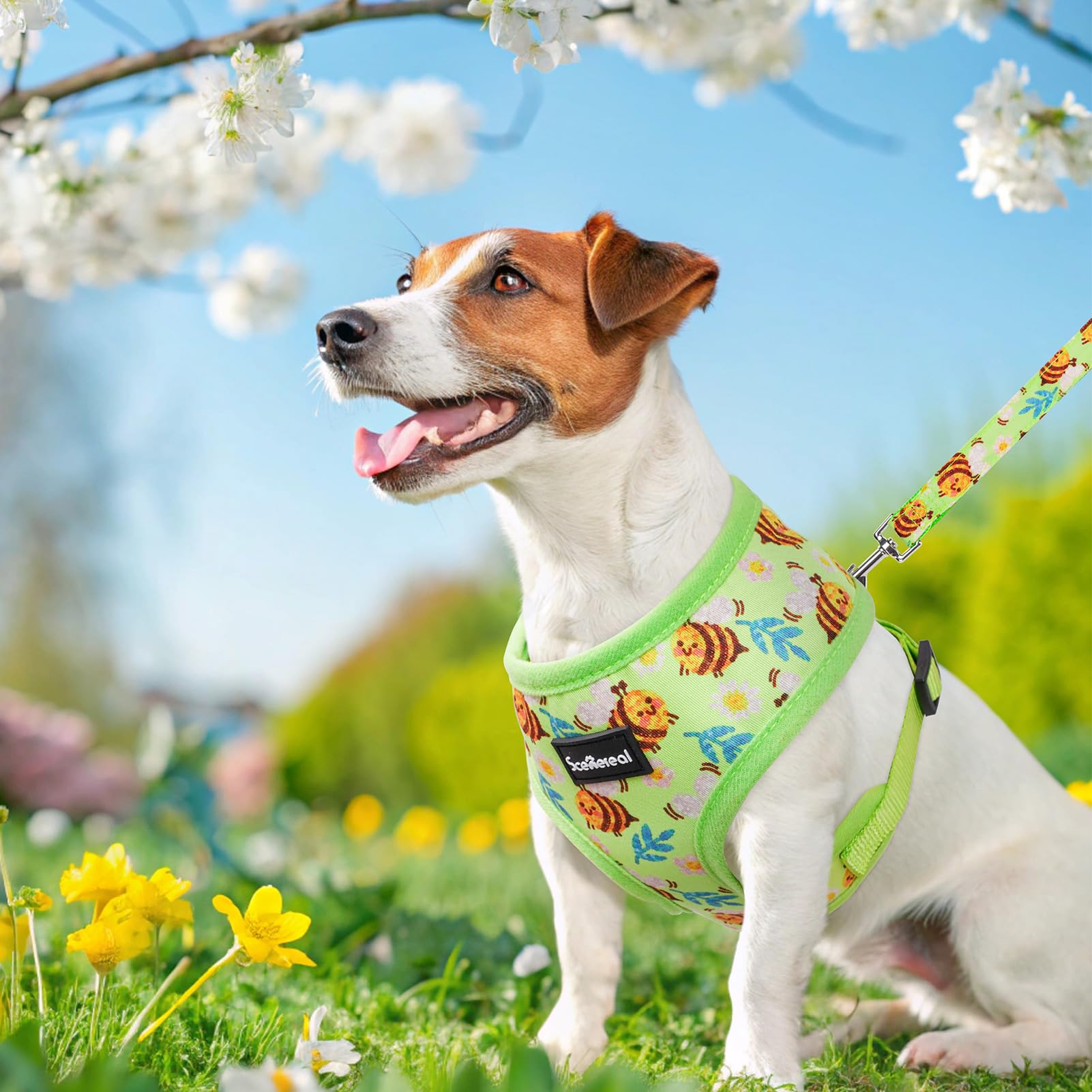 SCENEREAL Hundegeschirr für kleine Hunde, Halsband und Leine, verstellbar, kein Ziehen, weiches Netzgewebe, für Hunde, mittelgroße Hunde, Katzen, Chihuahua, Yorkie, grüne Biene, Größe S
