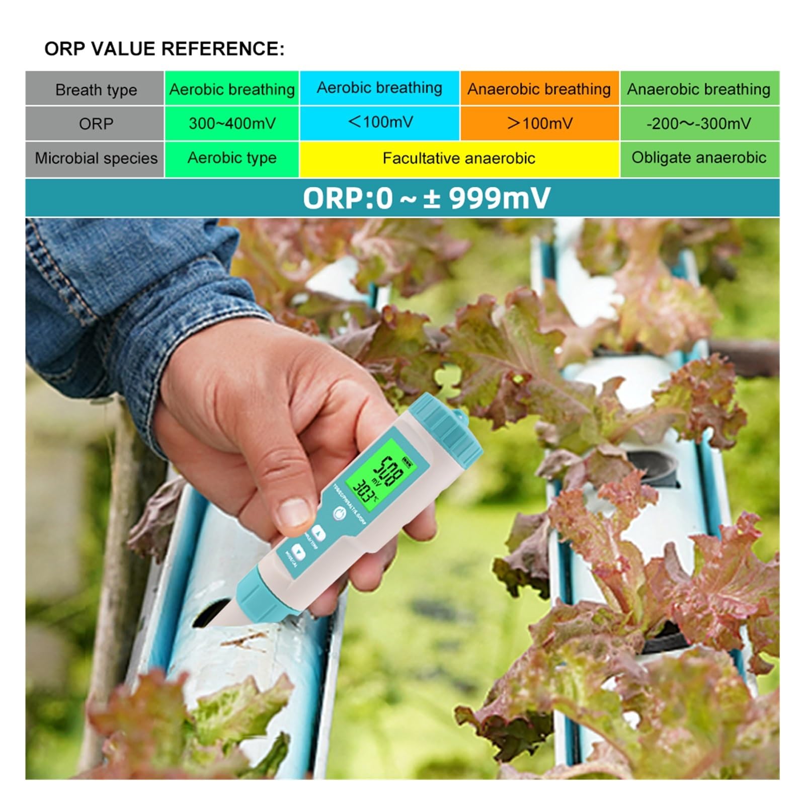 Tester miernika PH, 7 w 1 PH/TDS/EC/ORP/zasolenie/miernik temperatury C-600 Tester jakości wody do wody pitnej, miernik PH akwariów,Woda pitna, Hydroponika, SPA, Browarnictwo(Backlight)