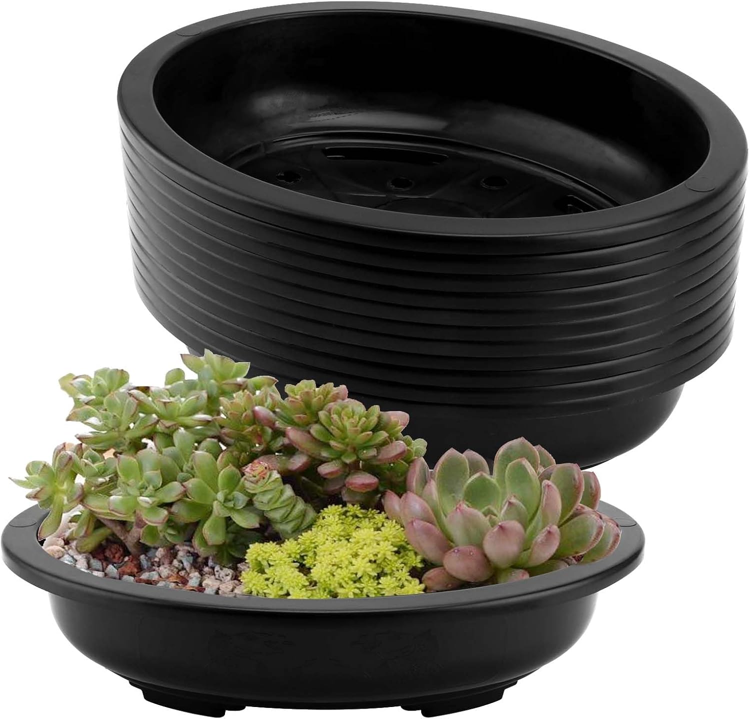 JAPCHET 12 PCS Oval Bonsai Training Pots, Plastic Pots with Drainage Holes Oval Nursery Pot for Home, Garden and Hotel, 15 x 11.4 x 3.5 in, Black