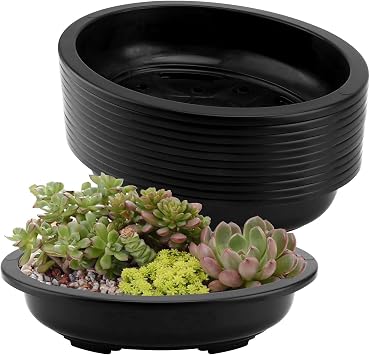 JAPCHET 12 PCS Oval Bonsai Training Pots, Plastic Pots with Drainage Holes Oval Nursery Pot for Home, Garden and Hotel, 15 x 11.4 x 3.5 in, Black
