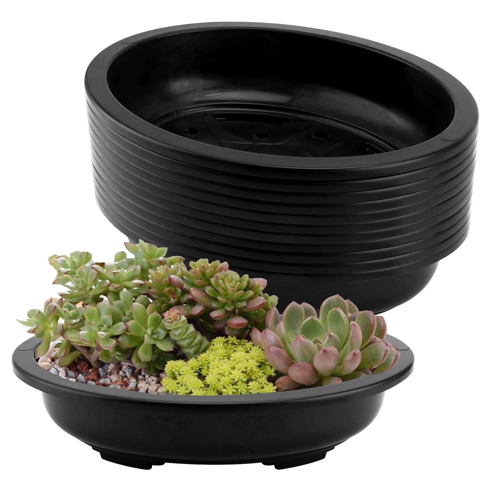 Bekith Set van 6 bonsai-trainingspotten van 22 cm klassieke diepe
