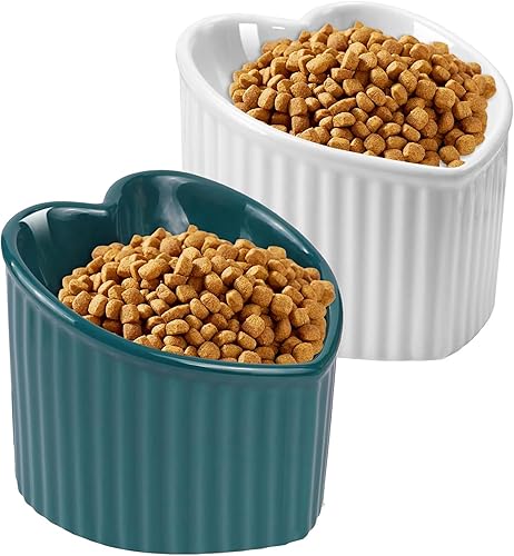 SUNQEBO Tazón elevado de comida para gatos, paquete de 2 cuencos elevados para gatos de interior, lindo juego de alimentación de cerámica inclinada