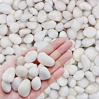 LONTOM 2.1lb Natural Decorative Pebbles, Polished River Stones Rocks, White Pebbles Gravel for Vases, Plant Pots, Fish Tank, Garden, Landscaping, Aquarium, DIY Home Decor(Approx. 2-3.5 CM)