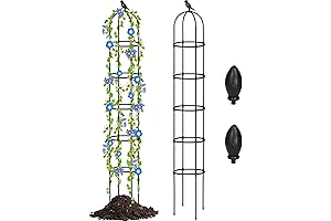 7ft Obelisk Trellis for Rose Trellis Climbing Plants