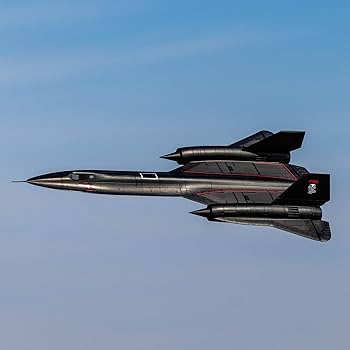 Black bird Toy Air / 144 71A Blackbird - Walmart.ca