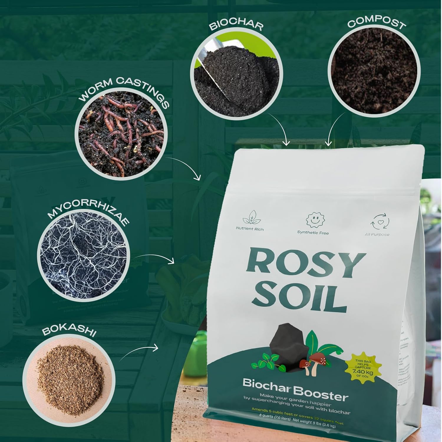 Rosy Soil Biochar Booster 8qt + Cactus & Succulent Potting Mix 4qt Organic Indoor Living Soil Bundle - Peat-Free, Fast Draining Mix with Mycorrhizae, Worm Castings & Biochar for Healthy Root Growth