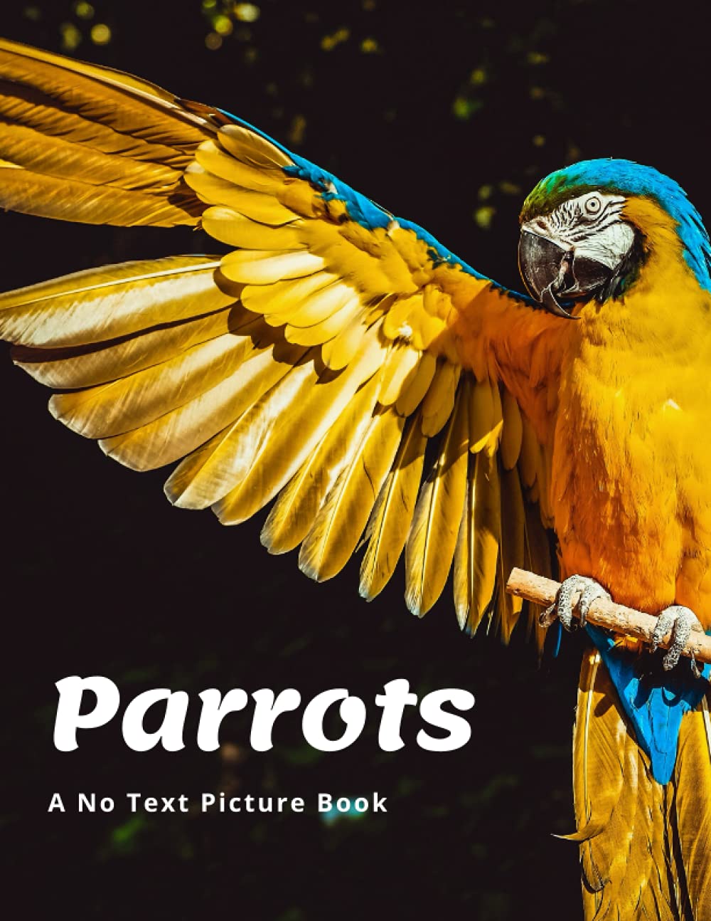 Parrots: A No Text Picture Book Paperback – Picture Book, 13 September 2021