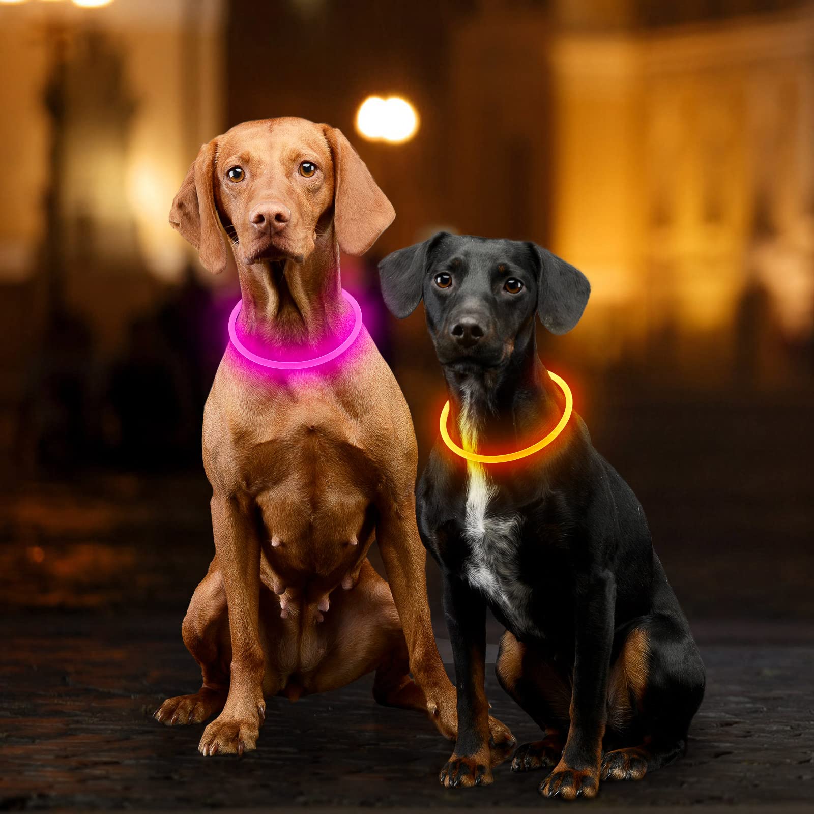 Leuchtende Hundehalsbänder, mehrfarbig, über USB wiederaufladbar, Dlitk LED-Hundehalsband, 1 Stück, TPU, schneidbare Größe, leuchtendes Halsband für Hunde, Hundehalsband für große, mittelgroße und
