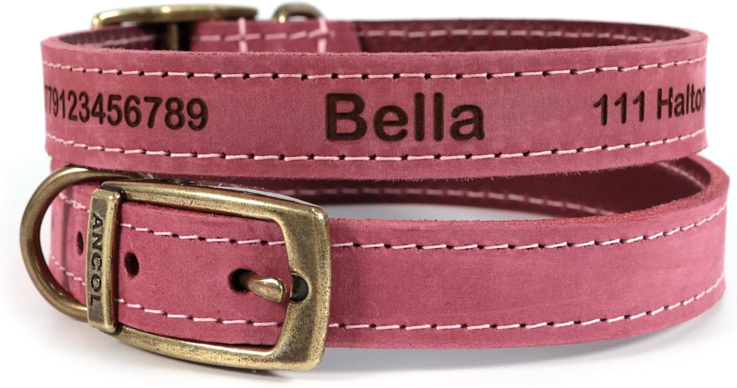 Ancol Timberwolf Leather Lead Leash + Optional Personalized Collar | 1m Long - Tan