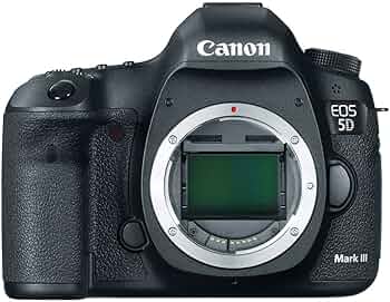 【値下げ】Canon 5D mark3 71NdnTJZu8L._AC_UF350,