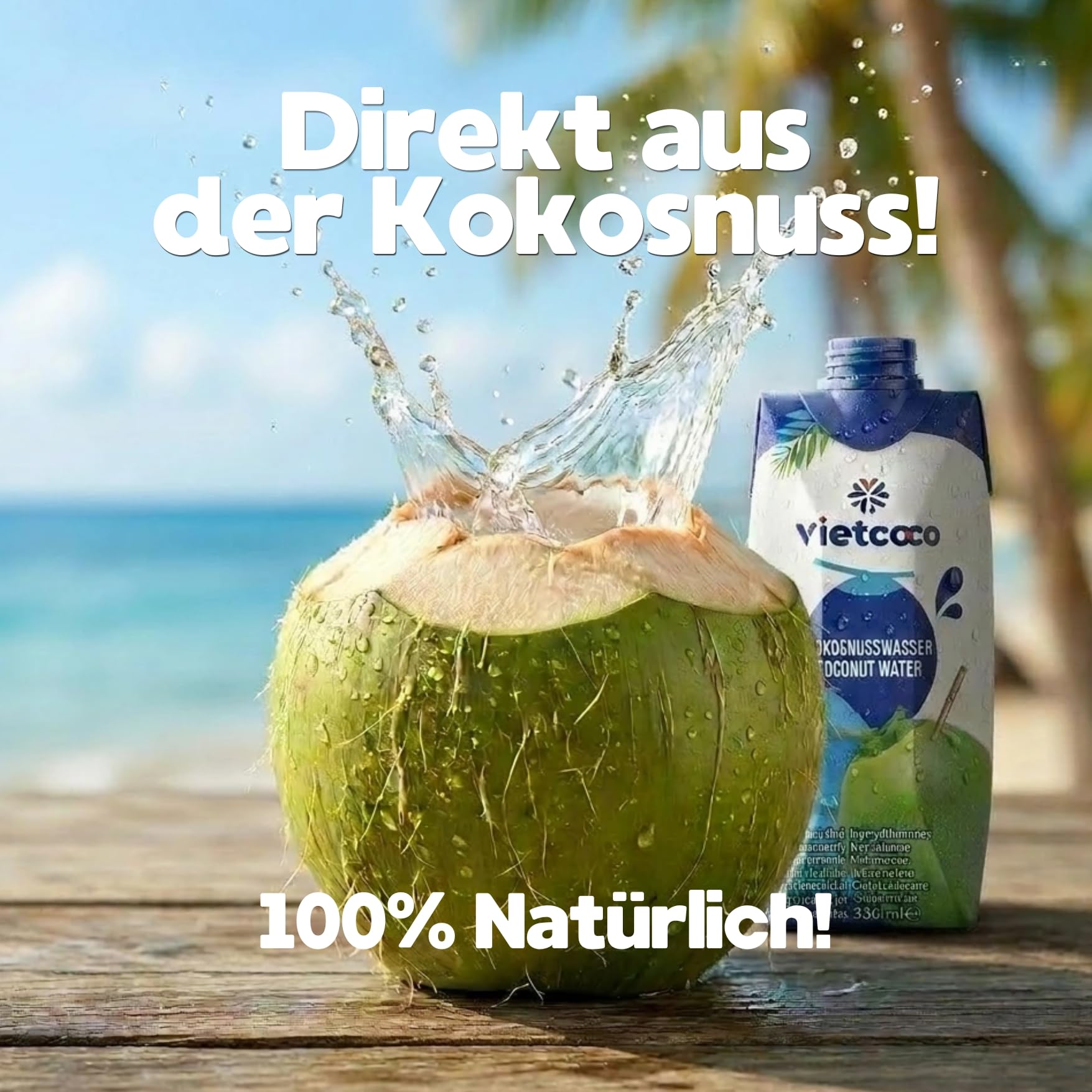 Vietcoco Kokoswasser 12 × 330 ml – 100% Pures Kokoswasser – ohne Zucker – Reich an Elektrolyten & Vitamin C – Erfrischend im Geschmack – Kalorienarm – Isotonisch & Lecker