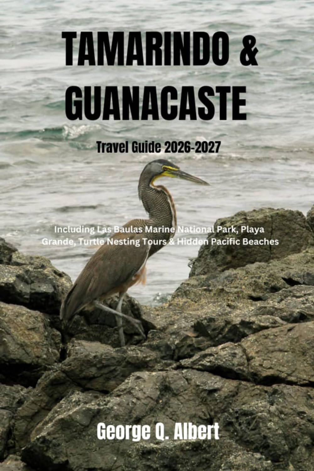 Tamarindo and Guanacaste Travel Guide 2026-2027: Including Las Baulas Marine National Park, Playa Grande, Turtle Nesting Tours & Hidden Pacific Beaches (Easygoing Journeys)