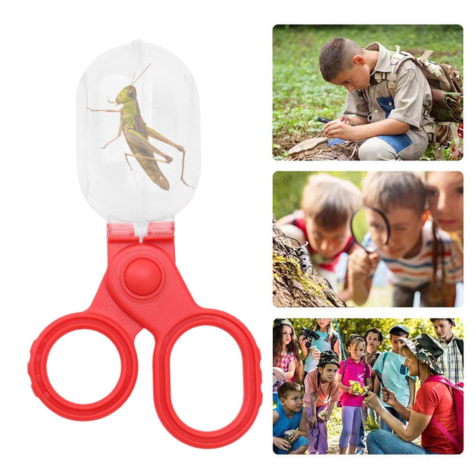 JUMPLAWN Insektenfänger-Pinzette – 2 Stück Für Natur-Entdecker
