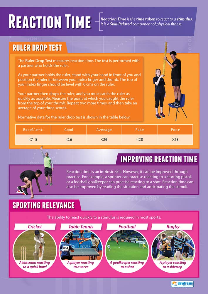 Reaction Time | PE Posters | Gloss Paper measuring 850mm x 594mm (A1) | Physical Education Charts for the Classroom | Education Charts by Daydream Education