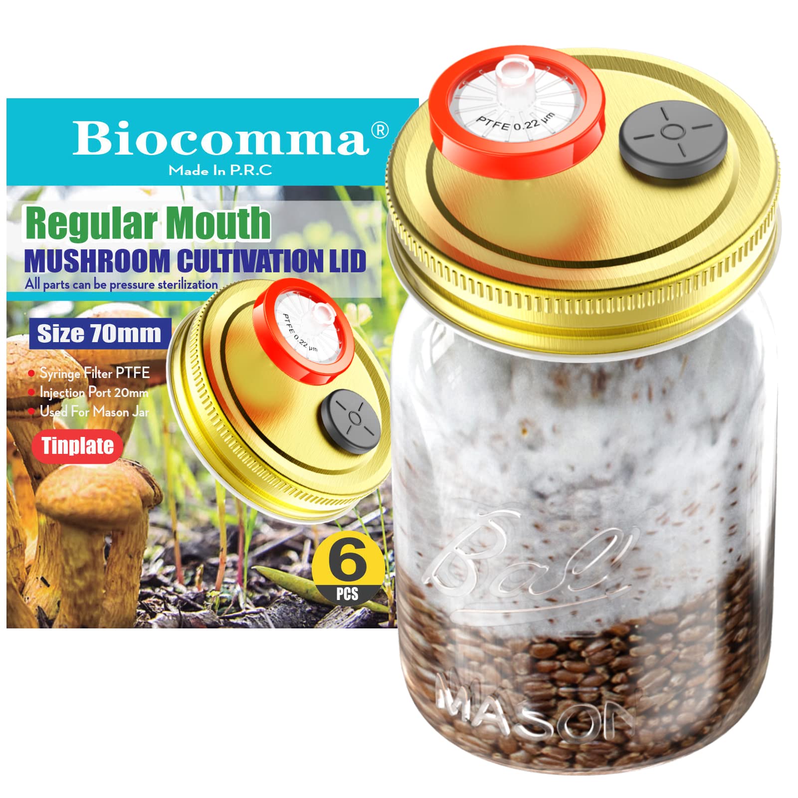 Buy 6Pcs Liquid Culture Lid Grain Spawn Cultivation Mason Jar