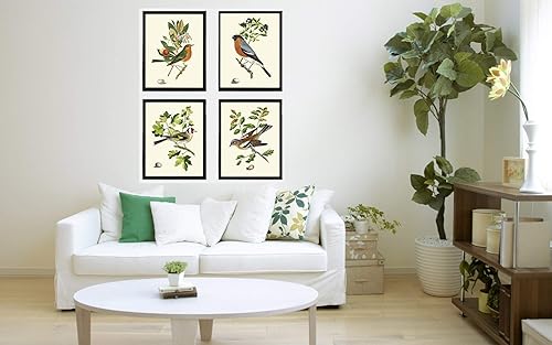 Miniatura 4 de LoveThePrint Beautfiul - Juego de 4 impresiones artísticas de pared de pájaros, bosque antiguo, al aire libre, naturaleza, ciencias naturales,