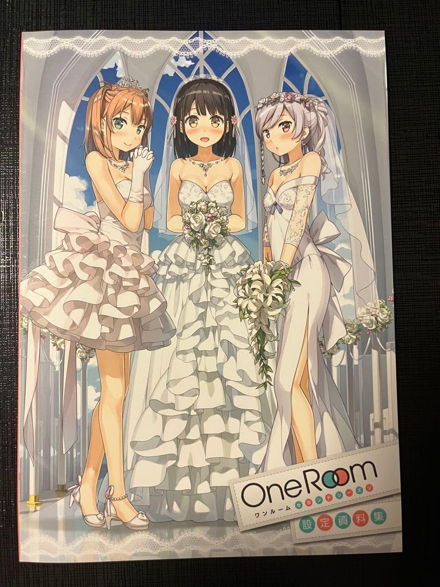 Amazon.co.jp: カントク「One Room セカンドシーズン 設定資料集